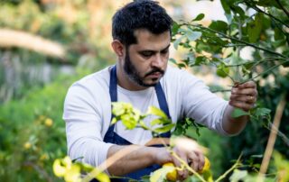 Top 10 Best Hair Transplant Recovery Foods to Eat